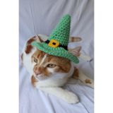 Yeşil Siyah Cadı Şapka Sarı Tokalı Örgü Kedi Köpek Şapkası Halloween Witch Pet Aksesuarları