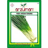 Yeşil Soğan Tohumu (10 Gr)