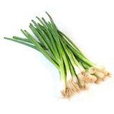 Yeşil Soğan Tohumu 10 Gram