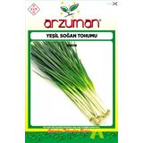 Yeşil Taze Soğan Tohumu 10 Gr Ort 2500 Ad Tohum