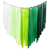 Yeşil ve Beyaz Parti Dekorasyonları Yeşil Saten Kurdele Flama Fonu 197 Ft × 5 cm Genişliğinde Püsküllü Asma Perde Çelenk İlkbahar Yaz Düğün Doğum Günü Nişan Gelin Partisi Çay Parti Malzemeleri