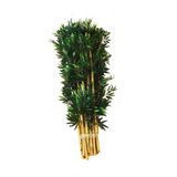 YEŞİLADA 12 Adet Bir Demet Yapay Bambu Ağacı 1 Metre Boyunda Bamboo Çiçek