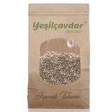 Yeşilçavdar 100 gr Ispanak Tohumu