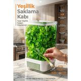 Yeşillik Saklama Kabı - Taze Yeşillik Için - Soğan Maydanoz Vb Yeşillik Saklama 721958 - 1 Adet