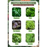 Yeşillik Tohum Seti-1, Toplam 2.500+ Adet Yeşillik Tohumu, 6 Çeşit Yeşillik Tohumu - 1 Adet