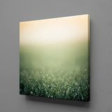Yeşillikler Kanvas Tablo 100x100cm