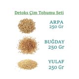 yeşilsera Yeşil Sera Dogal Kedi Çimi Tohumu 250 GrBugday 250grArpa 250GrYulaf Toplam 750Gr