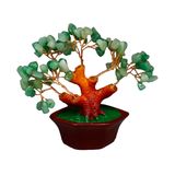 Yeşim Taşı Bonsai Ağacı, Dekoratif Şans Ağacı, 4 cm x 3,5 cm, Kahverengi Saksılı