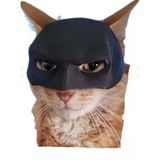 Yetişkin Kediler İçin Maske - Sevimli ve Eğlenceli Kedi Aksesuarı