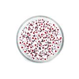 yfhobi 25 gram - 7 Mm Beyaz Üzeri Kırmızı Kalp Figürlü Yassı Plastik Boncuk, ( 25gr - 160-170adet Arası )