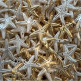 Yiğit Aksesuar 20 Adet Beyaz Gold Deniz Yıldızı Inci Boncuk Plastik Takı Yapım Malzemeleri