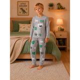 Yiğit Butik Erkek Çocuk Dinozor Baskılı Uzun Kollu Alt Üst Pijama Takımı - Gri - 4 - 5 Yaş