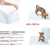 Yıkanabilir Köpek Çiş Pedi - 100 X 100 Cm