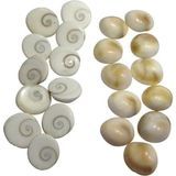 Yılancık Taşı Karışık 16 Adet, Doğal ve Şifalı Taş Seti - Ahşap