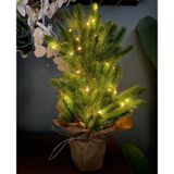 Yılbaşı Ağacı Led Işıklı Yapay Çam Ağacı Kraft Saksıda 55cm