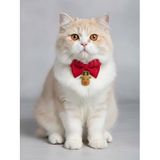 Yılbaşı Geyiği Kedi Papyon Tasması | Kırmızı Fiyonk Boyun Aksesuarı | Noel Temalı Kedi Süsü