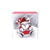 Yılbaşı Noel Baba ve Geyik Motifli Hediye Kutusu 8x6 cm