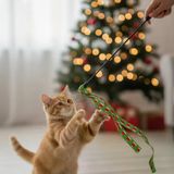 Yılbaşı Temalı Kedi Oyun Oltası - Yeşil
