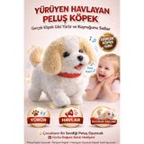 YILDIRIM OYUNCAK İnteraktif Yürüyen Peluş Köpek | Havlayan Kuyruk Sallayan Sesli Oyuncak