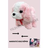 YILDIRIM OYUNCAK Pilli Sesli Havlayan Yürüyen Peluş 15 cm Köpek - Yürüyen Sesli Sevimli Peluş Köpek (Asortili)