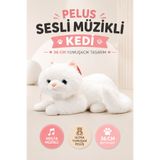 YILDIRIM OYUNCAK Sesli Müzikli Peluş Kedi 36cm – Yumuşacık Uyku Arkadaşı Sevimli Peluş Oyuncak