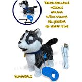 Yıldırım Oyuncak Uzaktan Kumandalı Sesli Müzikli Havlayan Yürüyen Ses Tekrar Etme Özellikli 30 cm Peluş Köpek - Siyah