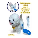 YILDIRIM OYUNCAK Uzaktan Kumandalı Sesli Müzikli Havlayan Yürüyen Ses Tekrar Etme Özellikli 30 cm Peluş Köpek