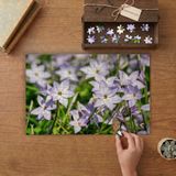 Yıldız Çiçeği - Bahar Çiçekleri Tasarımı 240 Parça Ahşap Puzzle Ahşap Kutuda MP05222