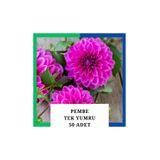 Yıldız Çiçeği (dahlia) Soğanı/yumrusu - Pembe 1 Yumru (50 Adet) 1027853
