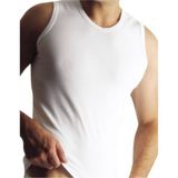 Yıldız Erkek Modal V Yaka Sıfır Kol Atlet 3'lü Paket - 380-381 - M - Beyaz