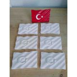 Yıldız İskandinav 🟥 Cumhuriyet Bayramı Özel 20’li Boyama Seti – Atatürk Büstü ve Türk Bayrağı Ham Objeler - 20 li set