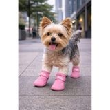 Yıldızan Terra Organik Köpek Ayakkabısı 4’lü Set Su Geçirmez Kaymaz Tabanlı Köpek Botu Küçük Orta Irk Köpekle