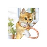 Yıldızhane USB Başlıklı Şarjlı Lazerli Kedi Egzersiz Tasma Oyuncağı İnteraktif Lazer Oyuncak