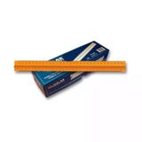 Yıldızlar Plastik Tribli Desimetre Cetvel 30 Cm