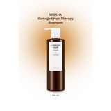 Yıpranmış Saçlara Yoğun Bakım Yapan Şampuan Damaged Hair Therapy Shampoo
