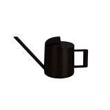 YISSN Küçük İç Mekan Ev Bitkileri Ofis Masası Bitkileri için Minik Sulama Kabı, Bonsai Ağaçları, Uzun Ağızlı Paslanmaz Çelik Mini Sulama Kutusu, 10 oz/300 ml (Siyah)