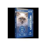 YKS Dil Intro Pack İngilizce Gramer Canavarı Modadil Yayınları