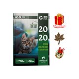 YKS DİL IntroPack 20x20 Mini Deneme Canavarı Modadil Yayınları