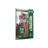 YKS-DİL IntroPack 20x20 Mini Deneme Canavarı TYB336137603D220111141939 Modadil Yayınları