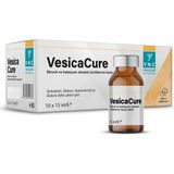 Ync Vesicacure Struvit ve Kalsiyum Oksalat Ürolitlerine Karşı Etkili 10X15ML (10 Şişe)