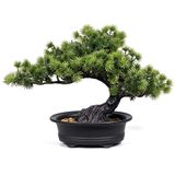 yoerm Yapay Bonsai Ağacı Japon Ardıç Oda Dekoru için Sahte Bitkiler, Uzun 24 cm