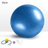 Yoga Pilates Aeorobik Jimnastik Topu 65 Cm Mavi