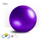 Yoga Pilates Aeorobik Jimnastik Topu 75 cm