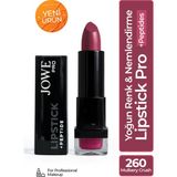 Yoğun Renk ve Nemlendirme Sağlayan Peptide Içerikli Ruj Profesyonel Makyaj Için Lipstick Pro - 260 Mulberry Crush
