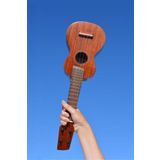 Yonka Akademi - Online Ukulele Dersi (4 Ders - 1 Kur)