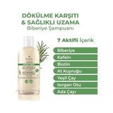 Yoon Saç Dökülme Karşıtı, Sağlıklı Hızlı Saç Uzamasına Yardımcı, 7 Aktifli Biberiyeli Tuzsuz Şampuan, 400ML - Option-1