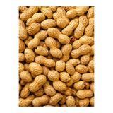 yöresel Kavrulmuş Kabuklu yer fıstığı 200 gr