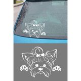 Yorkshire Terrier Resmi Oto Araba Cam Sticker Çıkartma Bilgisayarlar,Kamyonlar,Motosikletler İçin