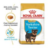 Yorkshire Terrier Yavru Köpek Maması 1.5kg
