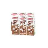 Yörükoğlu Kakaolu Süt 180 Ml X 6 Adet